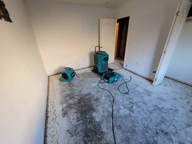 Best Professional water damage repair  in Hyde, PA