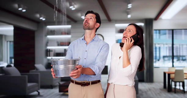 Best Water damage restoration specialists  in Hyde, PA